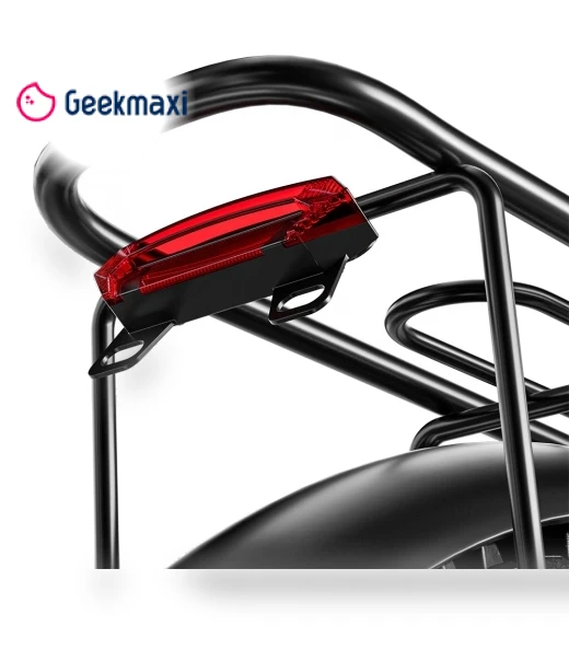 Electric Bike — Electric Self-Balancing Scooters, RANDRIDE