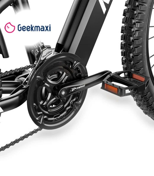 Electric Bike — Electric Self-Balancing Scooters, RANDRIDE