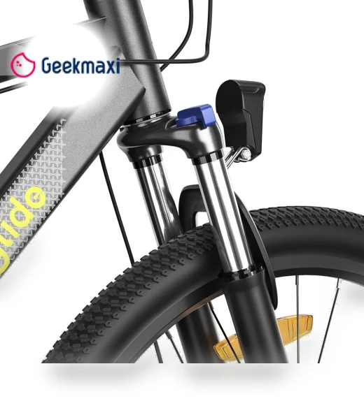 29 Inch CST Tire Electric Bike MTB Mountain Bike With App Control — Electric Self-Balancing Scooters, Eleglide