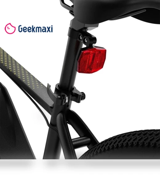 29 Inch CST Tire Electric Bike MTB Mountain Bike With App Control — Electric Self-Balancing Scooters, Eleglide