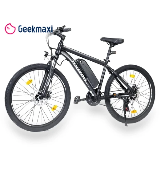 MTB Electric Bike — Electric Self-Balancing Scooters, Touroll