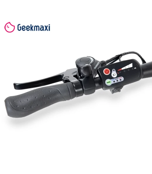 MTB Electric Bike — Electric Self-Balancing Scooters, Touroll