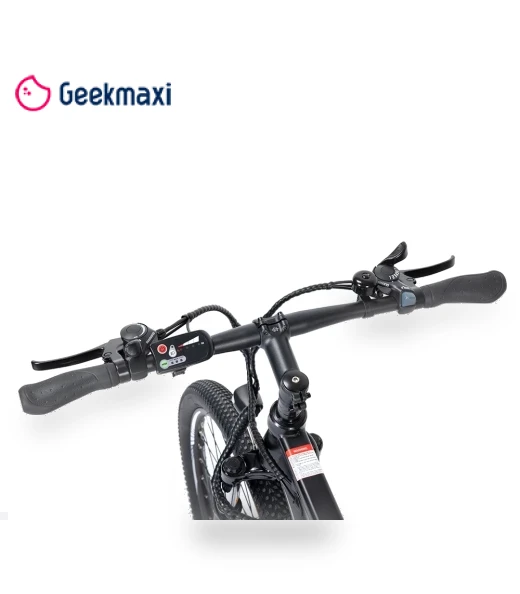 MTB Electric Bike — Electric Self-Balancing Scooters, Touroll