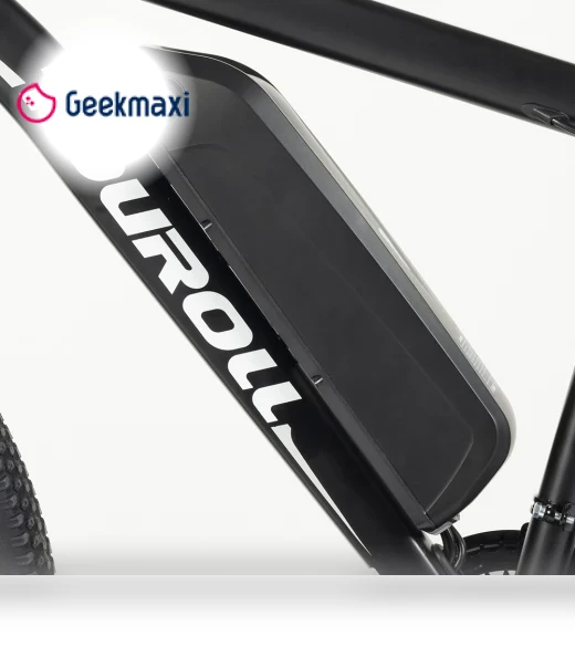 MTB Electric Bike — Electric Self-Balancing Scooters, Touroll