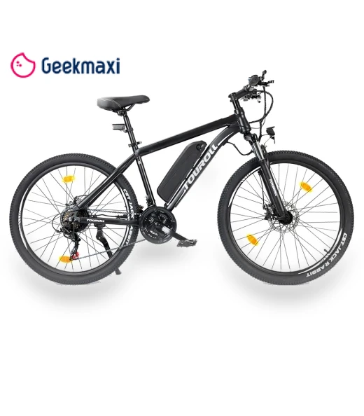 MTB Electric Bike — Electric Self-Balancing Scooters, Touroll