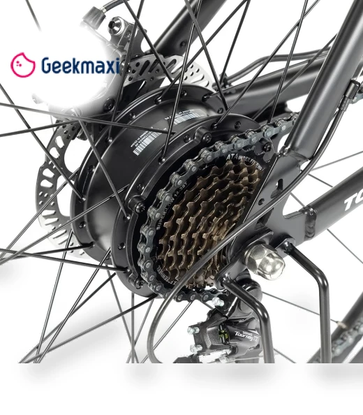 MTB Electric Bike — Electric Self-Balancing Scooters, Touroll