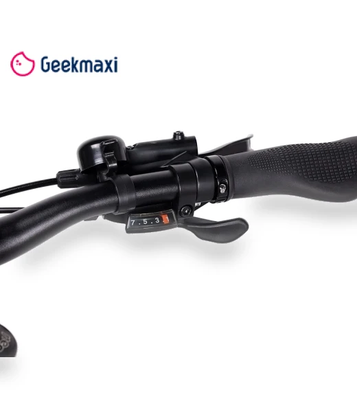 Step-thru Electric Trekking Bike — Electric Self-Balancing Scooters, Eleglide