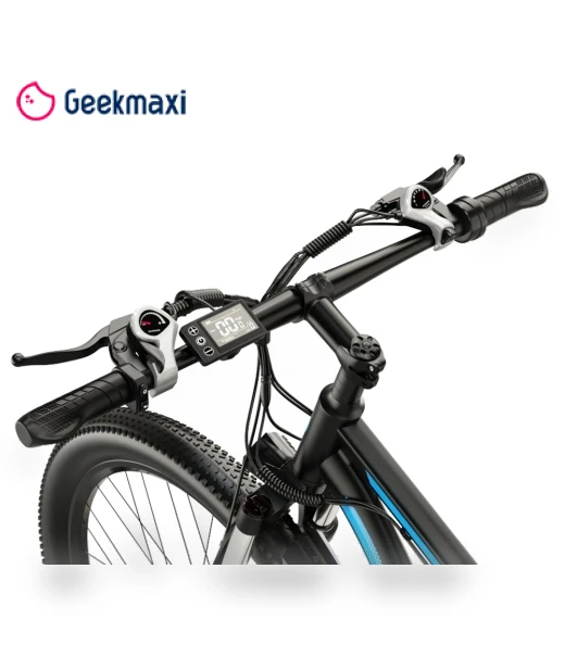 Electric Bike with Rear Rack — Electric Self-Balancing Scooters, DUOTTS