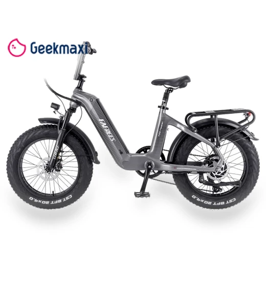 Electric Bike — Electric Self-Balancing Scooters, Fafrees