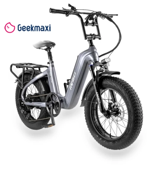 Electric Bike — Electric Self-Balancing Scooters, Fafrees
