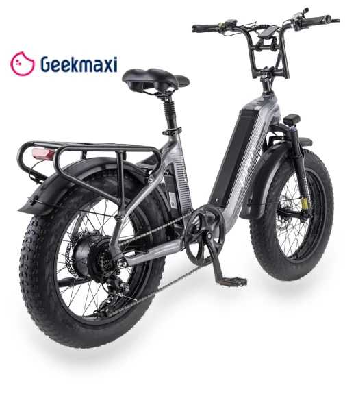 Electric Bike — Electric Self-Balancing Scooters, Fafrees