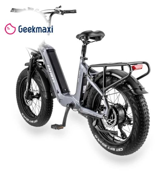 Electric Bike — Electric Self-Balancing Scooters, Fafrees
