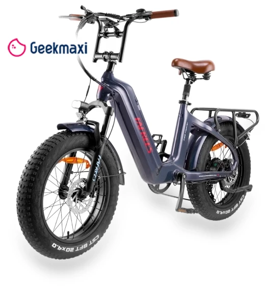 Electric Bike — Electric Self-Balancing Scooters, Fafrees