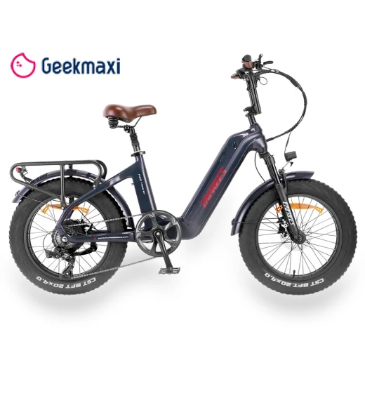 Electric Bike — Electric Self-Balancing Scooters, Fafrees