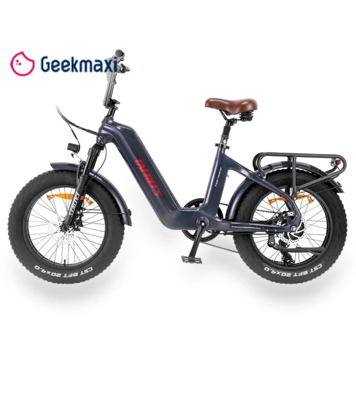 Electric Bike — Electric Self-Balancing Scooters, Fafrees