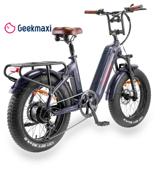Electric Bike — Electric Self-Balancing Scooters, Fafrees