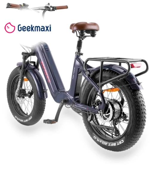 Electric Bike — Electric Self-Balancing Scooters, Fafrees
