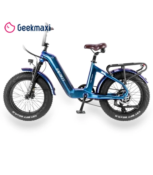 Electric Bike — Electric Self-Balancing Scooters, Fafrees