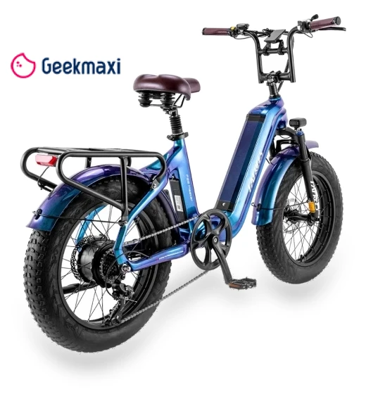 Electric Bike — Electric Self-Balancing Scooters, Fafrees
