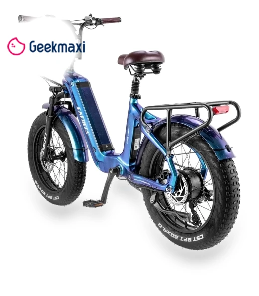 Electric Bike — Electric Self-Balancing Scooters, Fafrees