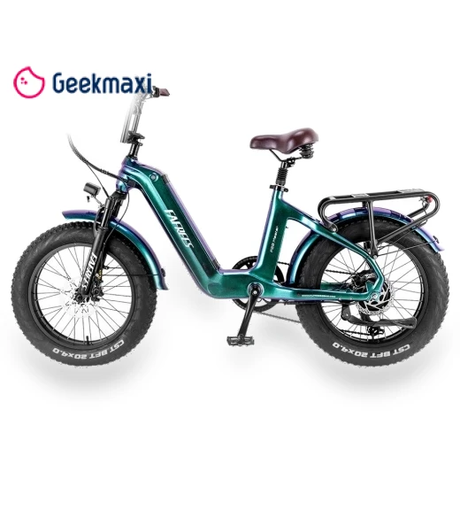 Master Electric Bike — Electric Self-Balancing Scooters, Fafrees