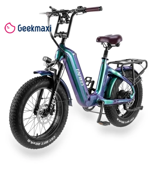 Master Electric Bike — Electric Self-Balancing Scooters, Fafrees