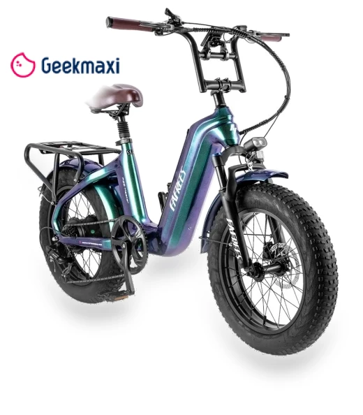 Master Electric Bike — Electric Self-Balancing Scooters, Fafrees