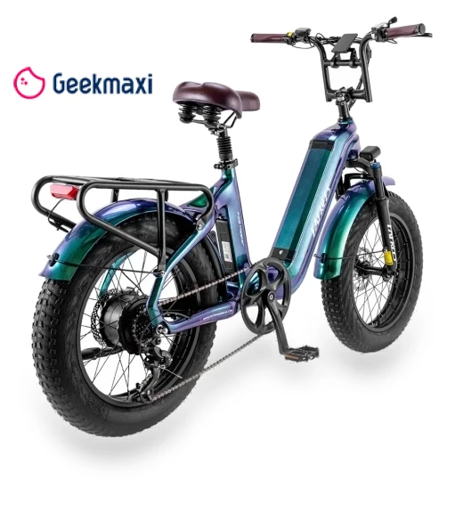 Master Electric Bike — Electric Self-Balancing Scooters, Fafrees
