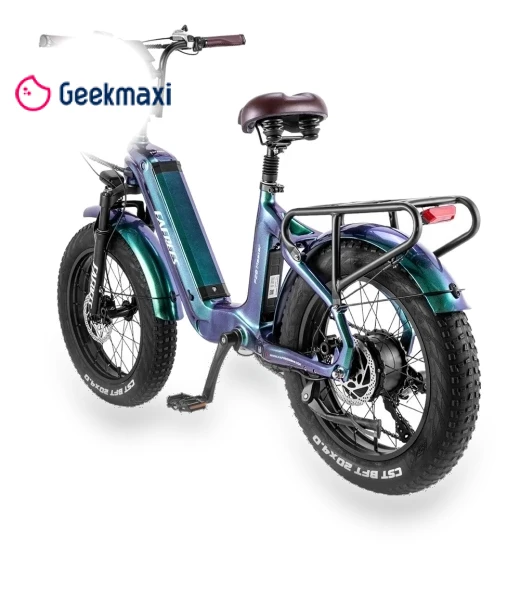 Master Electric Bike — Electric Self-Balancing Scooters, Fafrees