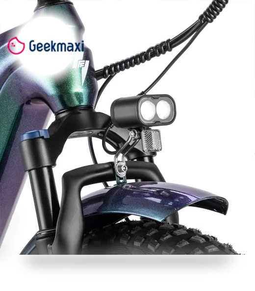 Master Electric Bike — Electric Self-Balancing Scooters, Fafrees
