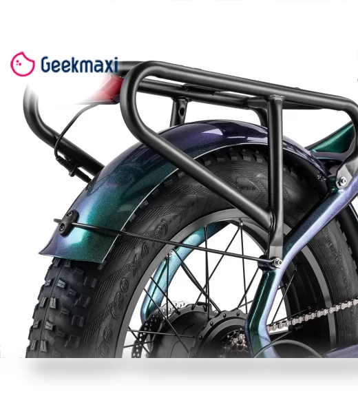 Master Electric Bike — Electric Self-Balancing Scooters, Fafrees