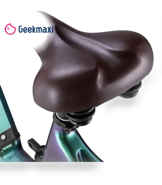 Master Electric Bike — Electric Self-Balancing Scooters, Fafrees