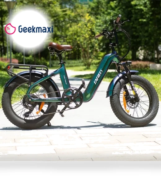 Master Electric Bike — Electric Self-Balancing Scooters, Fafrees