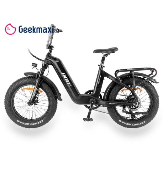 Electric Bike — Electric Self-Balancing Scooters, Fafrees