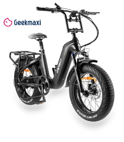 Electric Bike — Electric Self-Balancing Scooters, Fafrees