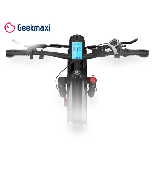 Fat Tire Electric Bike — Electric Self-Balancing Scooters, DUOTTS