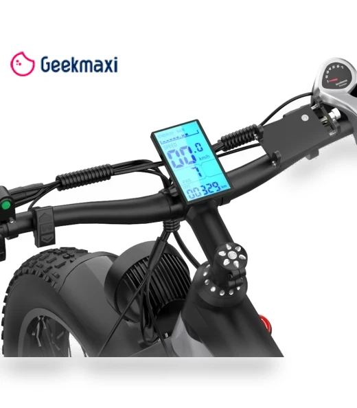 Fat Tire Electric Bike — Electric Self-Balancing Scooters, DUOTTS