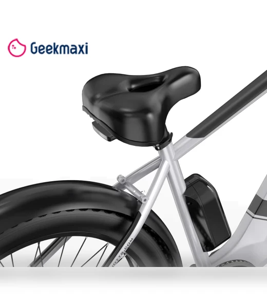 Fat Tire Electric Bike — Electric Self-Balancing Scooters, DUOTTS