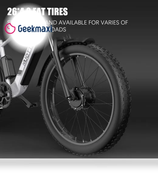 Fat Tire Electric Bike — Electric Self-Balancing Scooters, DUOTTS