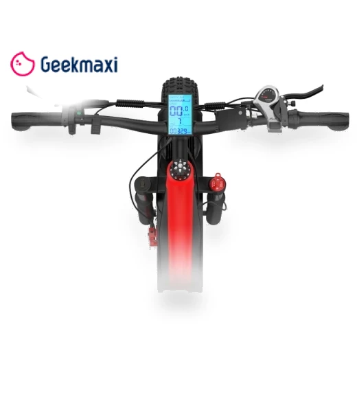 26*4.0 Inch Fat Tire Electric Bike — Electric Self-Balancing Scooters, DUOTTS