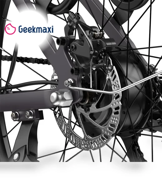 Step-through City Electric Bike — Electric Self-Balancing Scooters, Fafrees