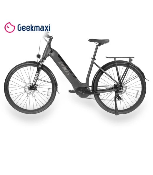 Step-through City Electric Bike — Electric Self-Balancing Scooters, Fafrees