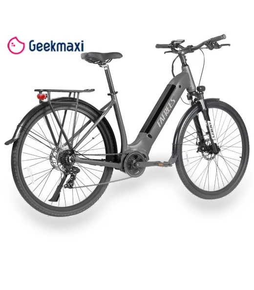 Step-through City Electric Bike — Electric Self-Balancing Scooters, Fafrees