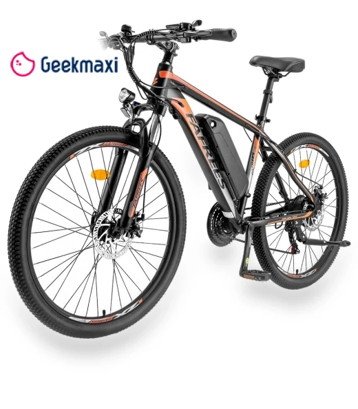 Electric Bike — Electric Self-Balancing Scooters, Fafrees