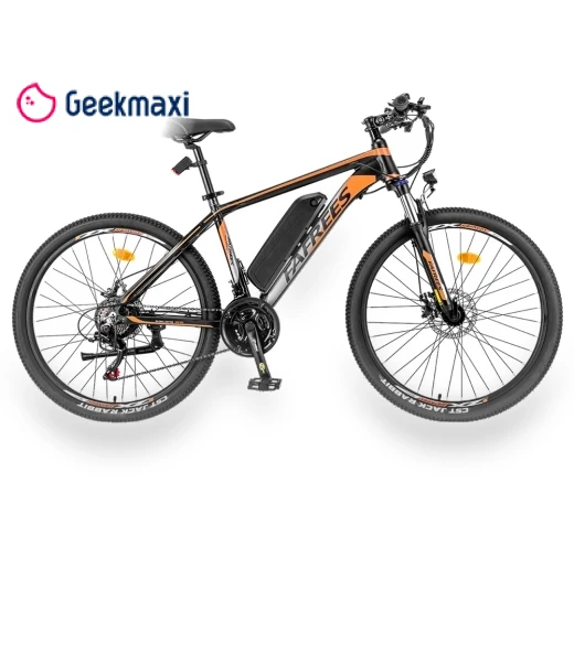Electric Bike — Electric Self-Balancing Scooters, Fafrees