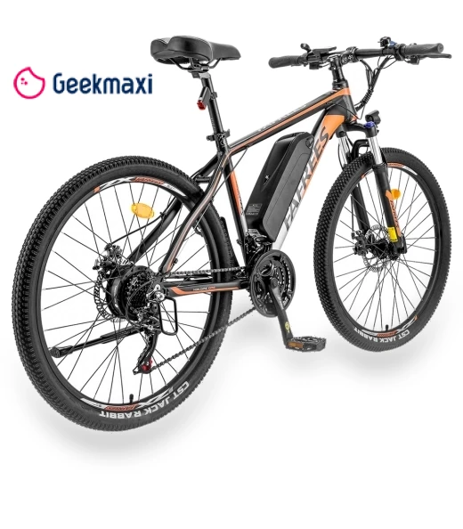 Electric Bike — Electric Self-Balancing Scooters, Fafrees