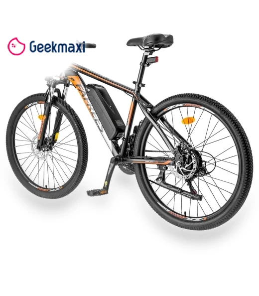 Electric Bike — Electric Self-Balancing Scooters, Fafrees