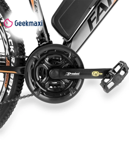 Electric Bike — Electric Self-Balancing Scooters, Fafrees