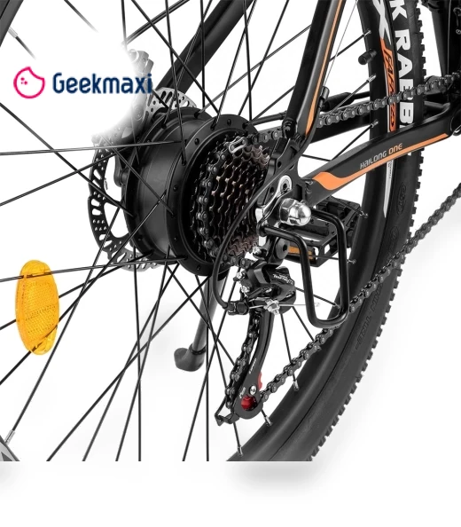 Electric Bike — Electric Self-Balancing Scooters, Fafrees