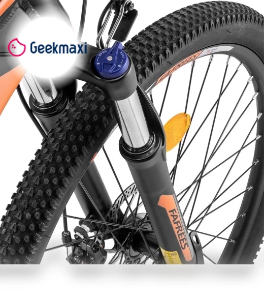 Electric Bike — Electric Self-Balancing Scooters, Fafrees